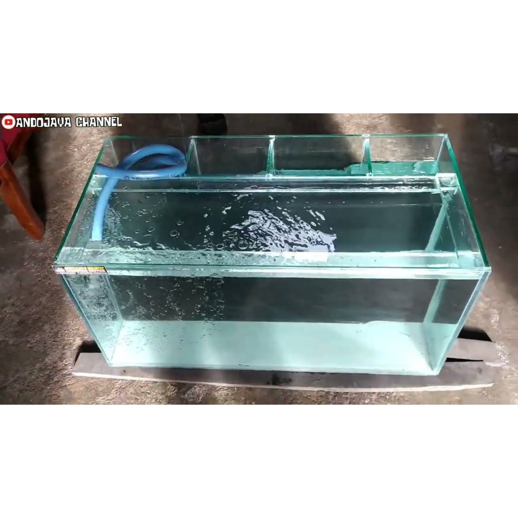 AQUARIUM AQUASCAPE  + SUMP FILTER BELAKANG | AQUARIUM SEDANG | AQUARIUM KACA | (KHUSUS INSTAN)