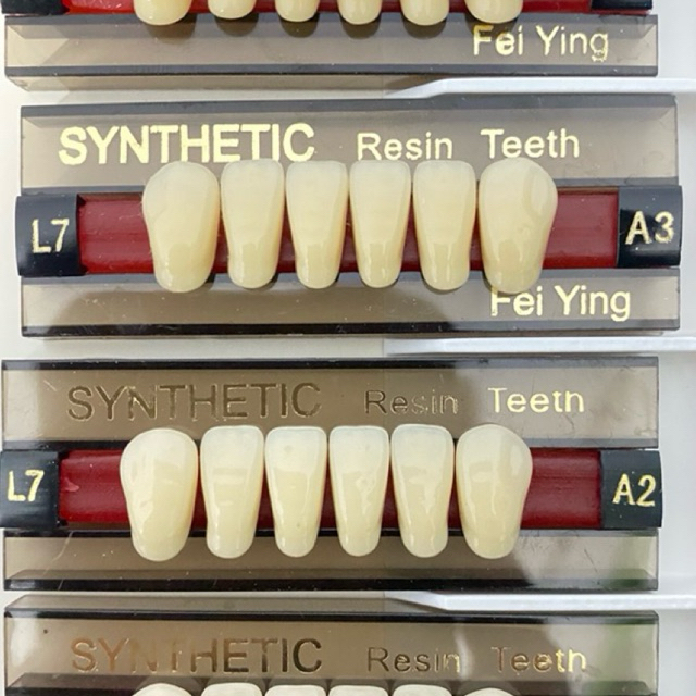 Synthetic Anasir Artificial Gigi Palsu Depan Bawah Anterior Seri Dental lab / gigi palsu depan bawah