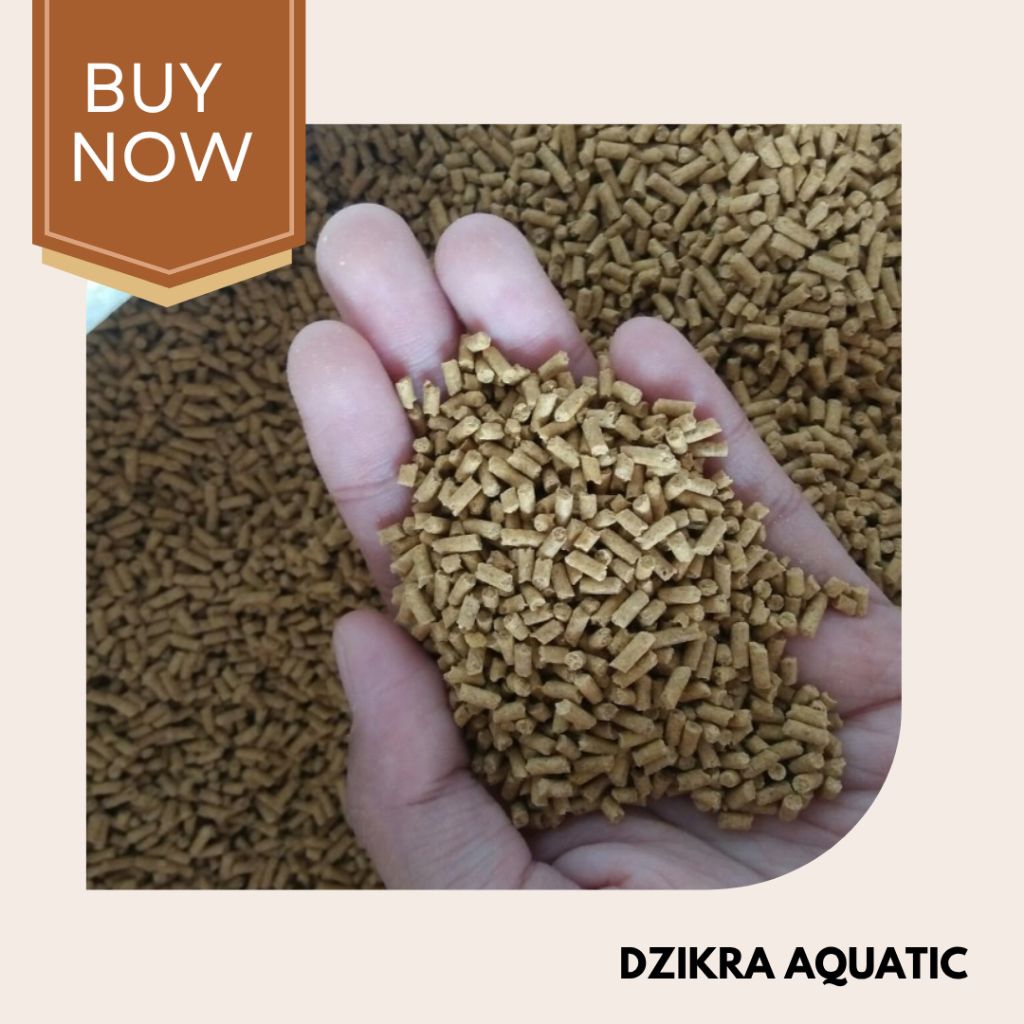 Voer Pur Burung Kiloan Untuk Burung Kicau