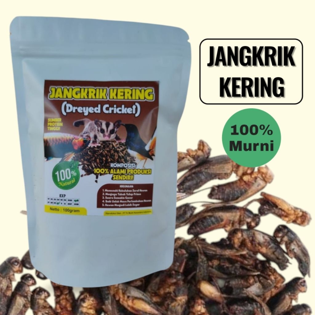 Jangkrik Kering 100gr - Pakan Stamina dan Energi Burung