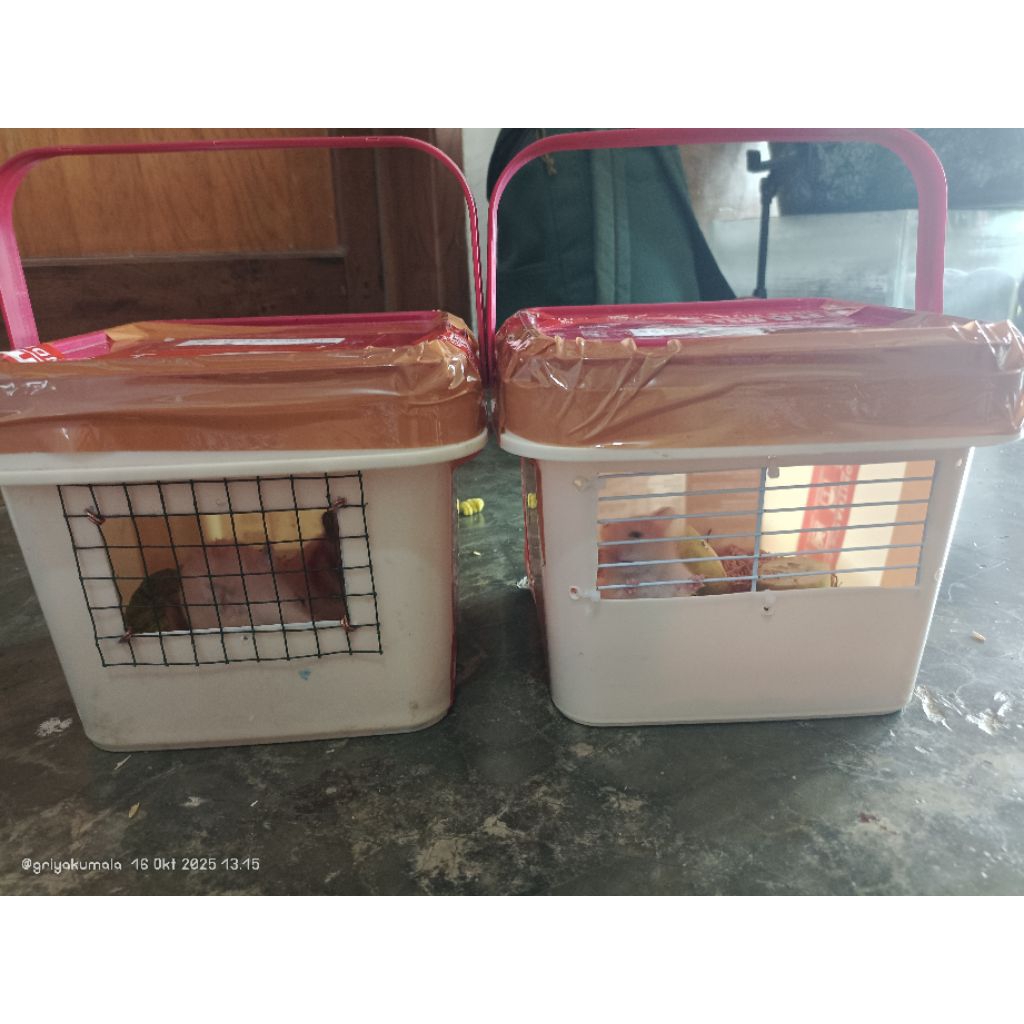 Box kandang hamster jeruji / box kandang hamster modifikasi