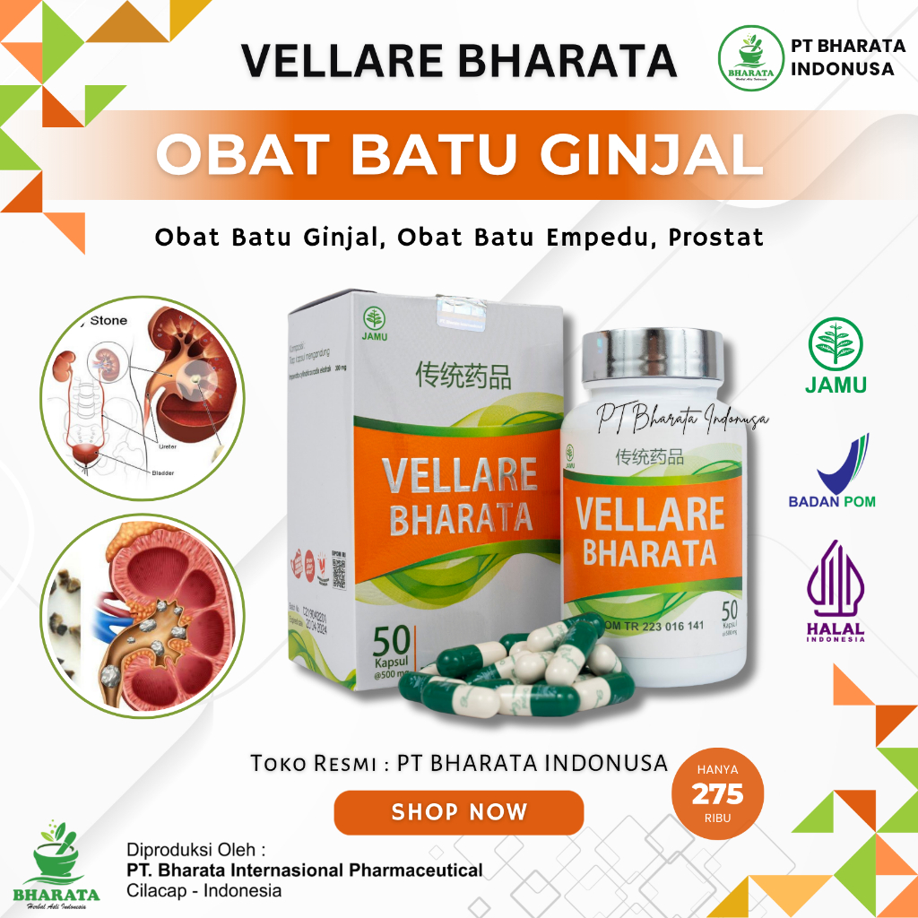 Obat Batu Ginjal Herbal Batu Empedu VELLARE BHARATA Original - Obat Kencing Batu Prostat Infeksi