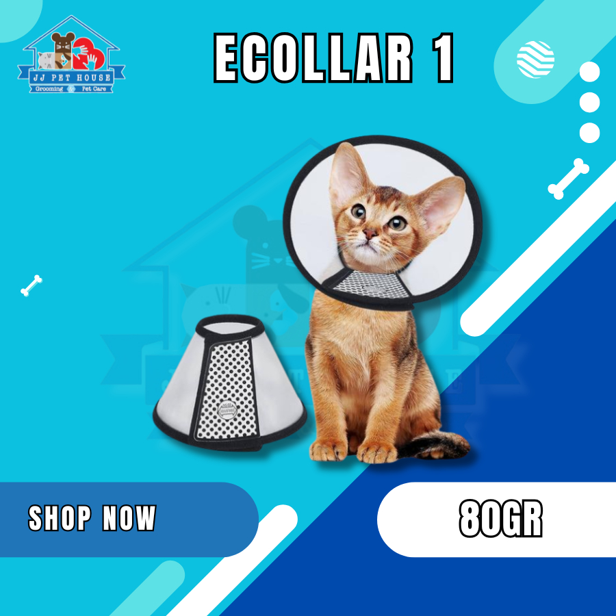 ECOLLAR 1 - MAINAN LEHER KUCING DAN DOG