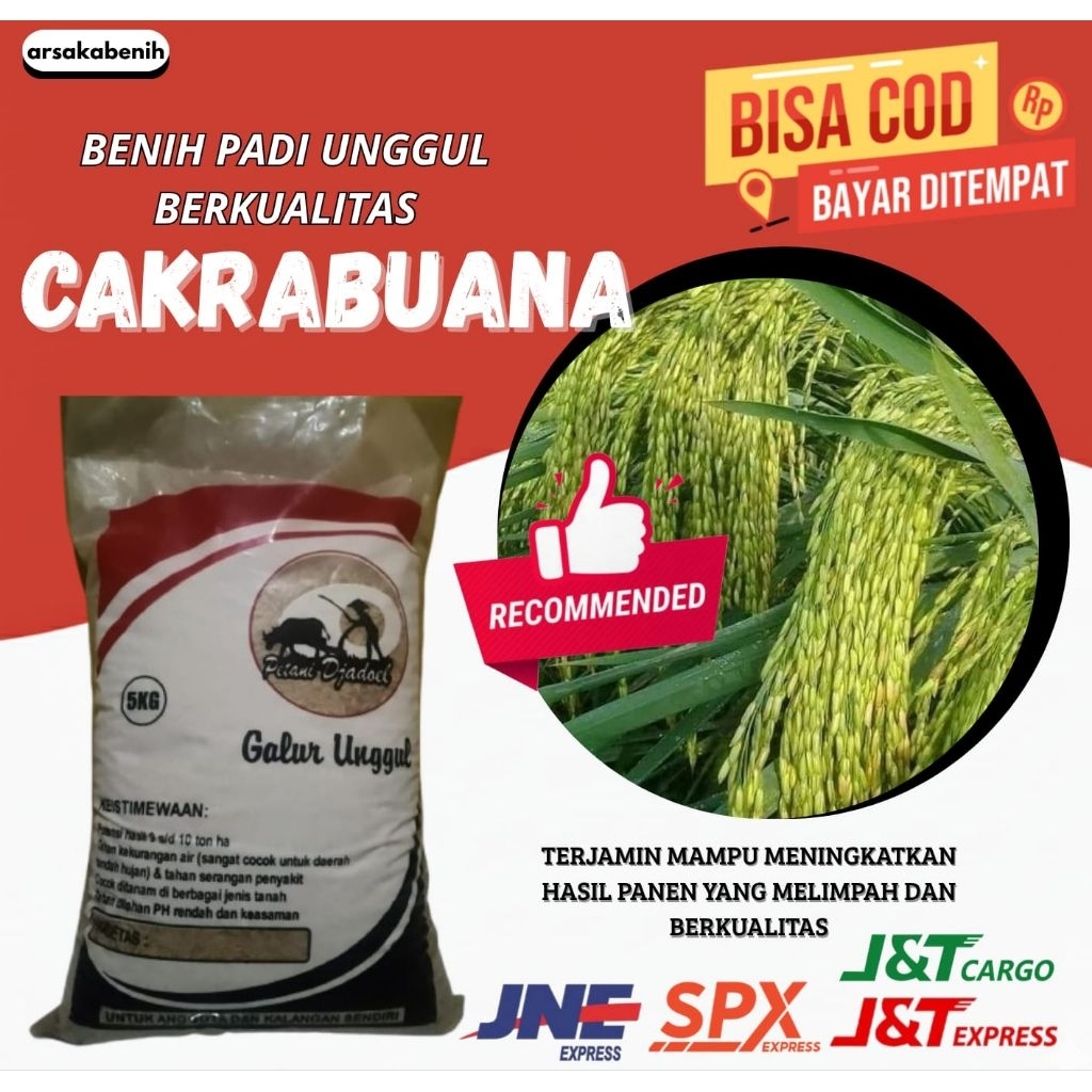 BENIH PADI UNGGUL BERKUALITAS CAKRABUANA 5kg