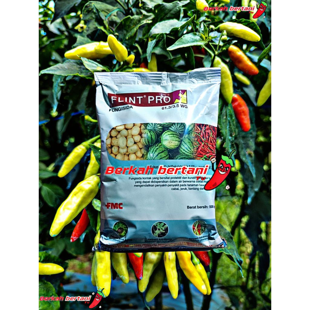 FLINT PRO 16.3/3.5 WG 500GR Fungisida(spelialis busuk daun dan busuk batang)