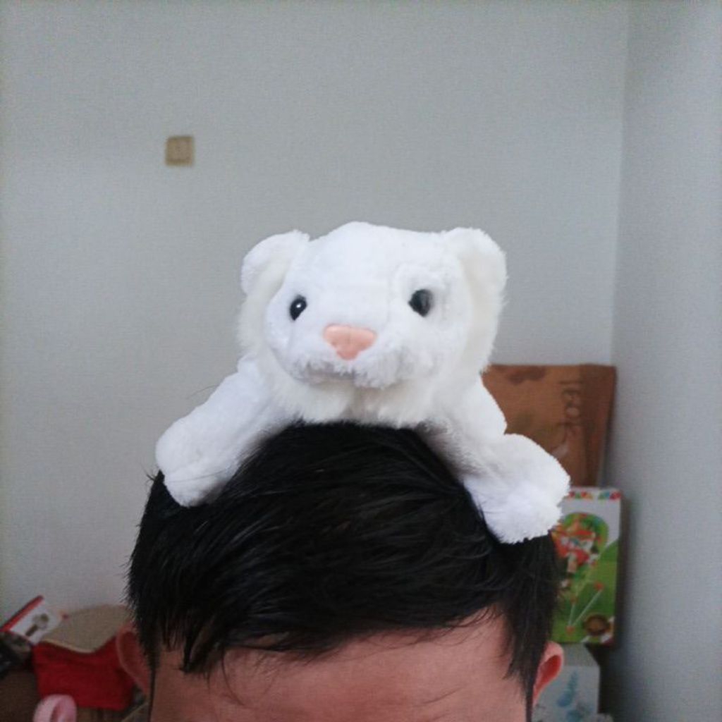 Harimau Putih Taman Safari