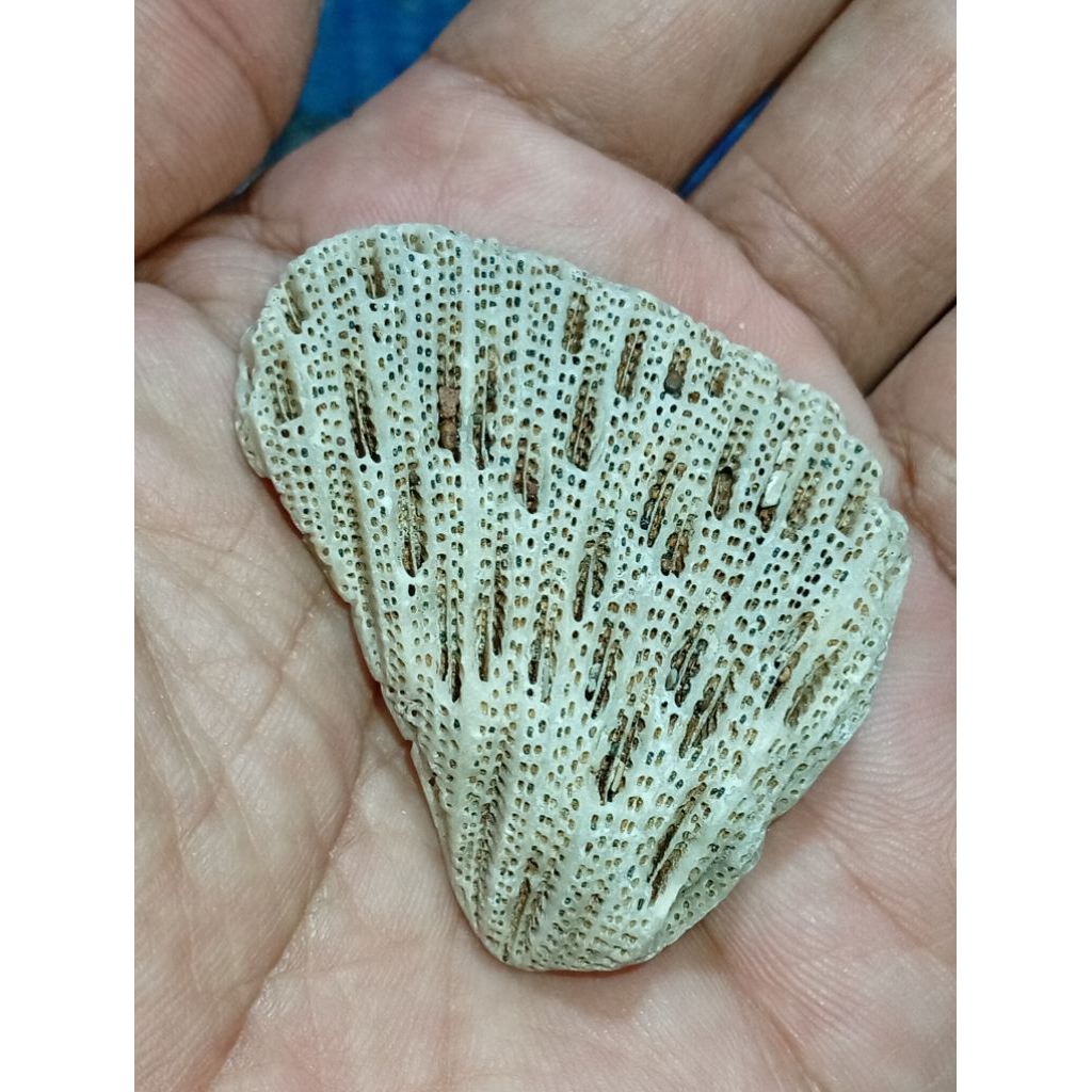 spesial batu kristal klanceng putih sewu