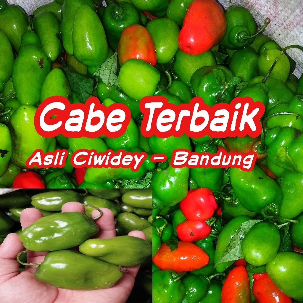 Cabe Gendot Viral Teh Santi Cagur 1 Kilo Gram SANGAT MURAH