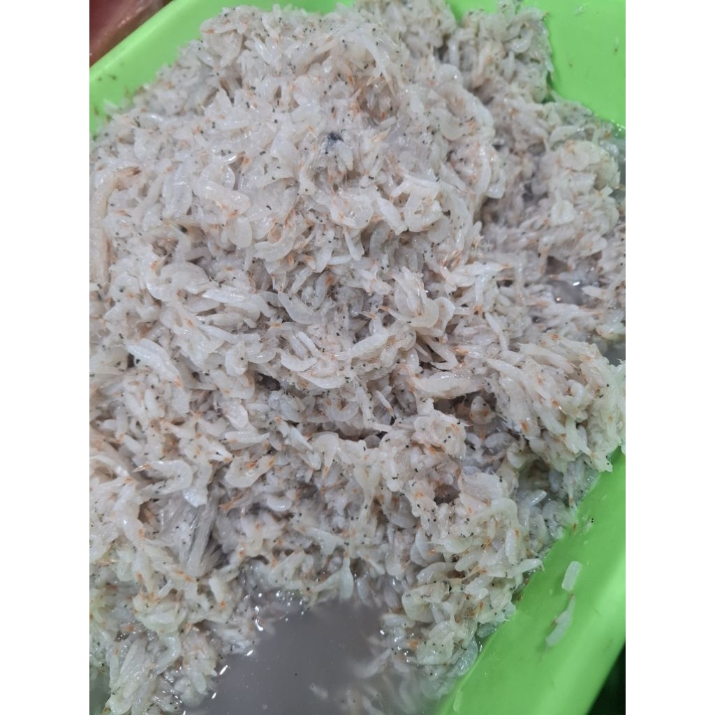 Udang Rebon Segar Pilihan