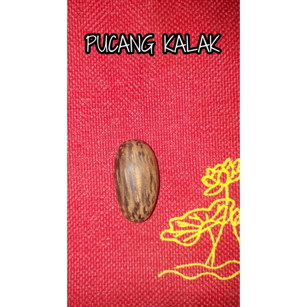 Mata Cincin Kayu Bertuah PUCANG KALAK PONOROGO