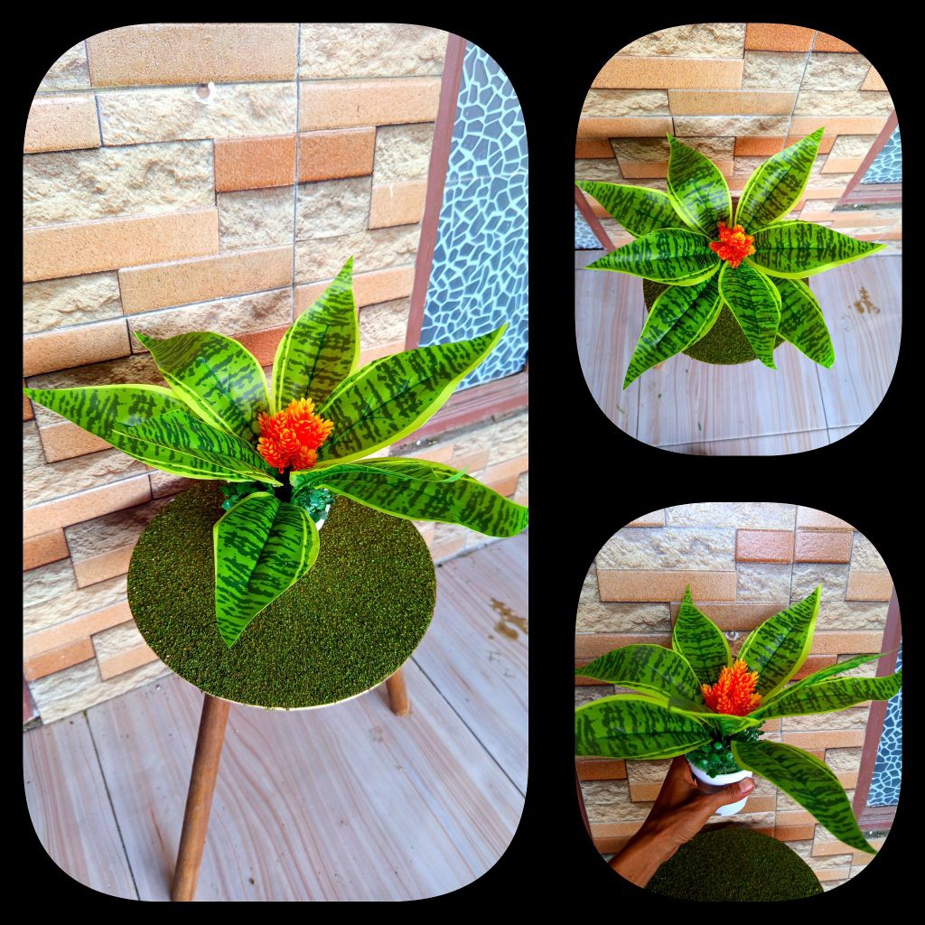 Aneka bromelia tanaman nanas bunga hias artificial imitasi palsu plastik