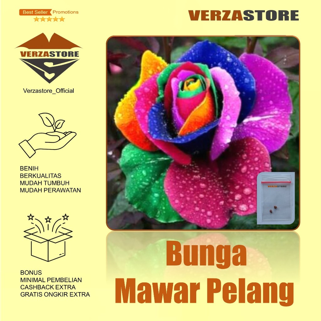 Biji Bunga Mawar Pelangi Benih Bunga Mawar Rainbow Rose / 2 Biji