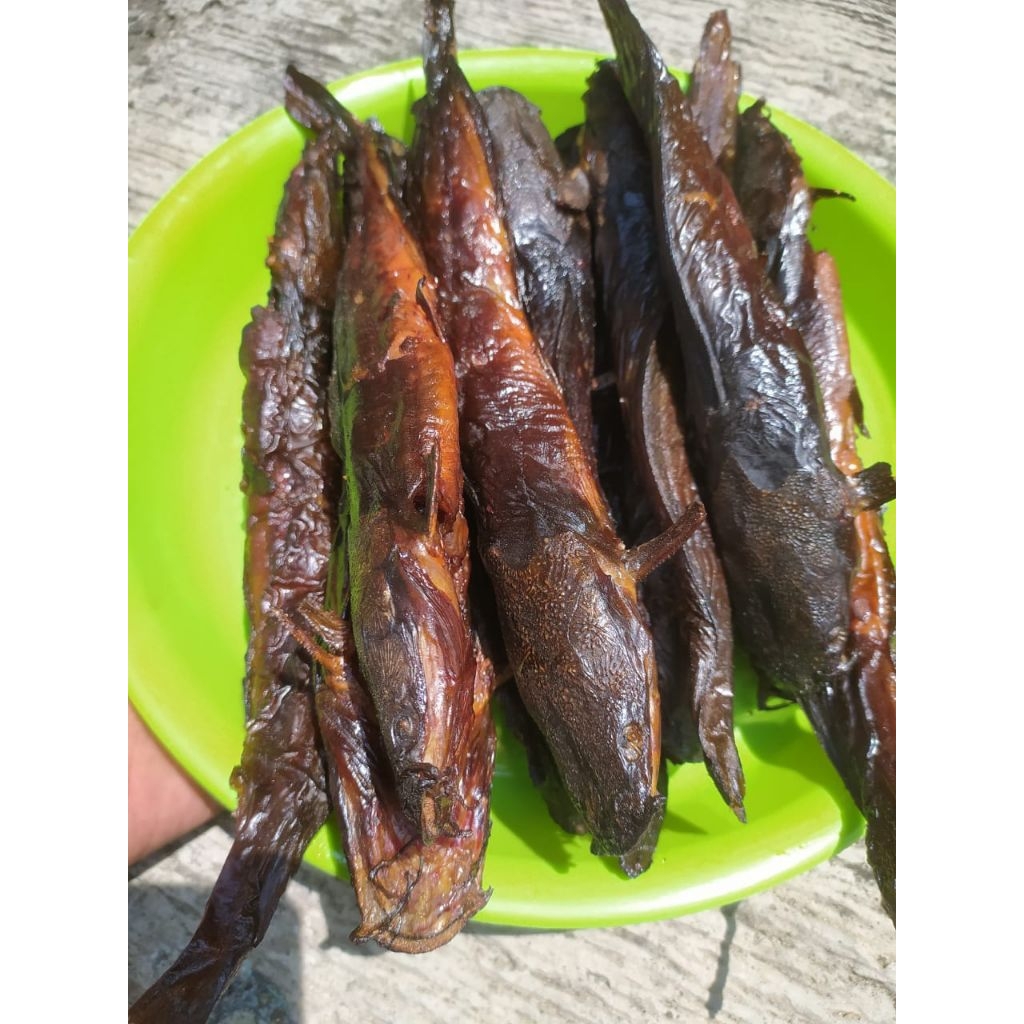 lele asap/salai ikan lele/lelesegarasap