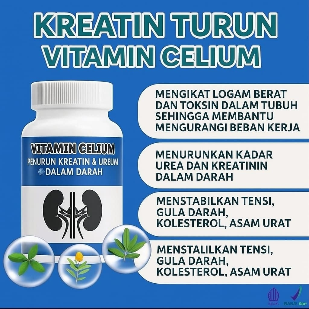 VITAMIN CELIUM Vitamin Detox Untuk Ginjal Nutrisi Ginjal Membantu Meningkatkan Fungsi Ginjal Menurun