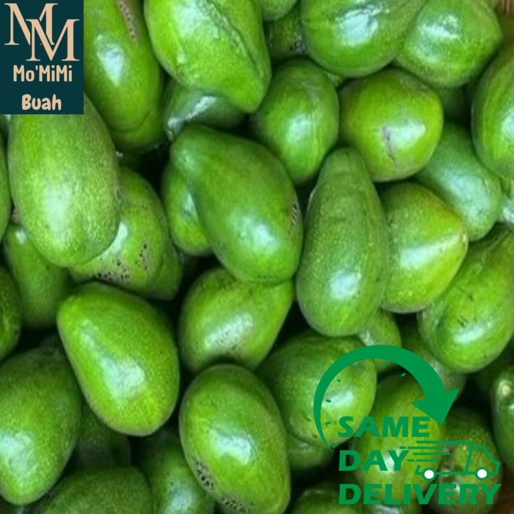 Alpukat Mentega Matang Fresh 1 kg