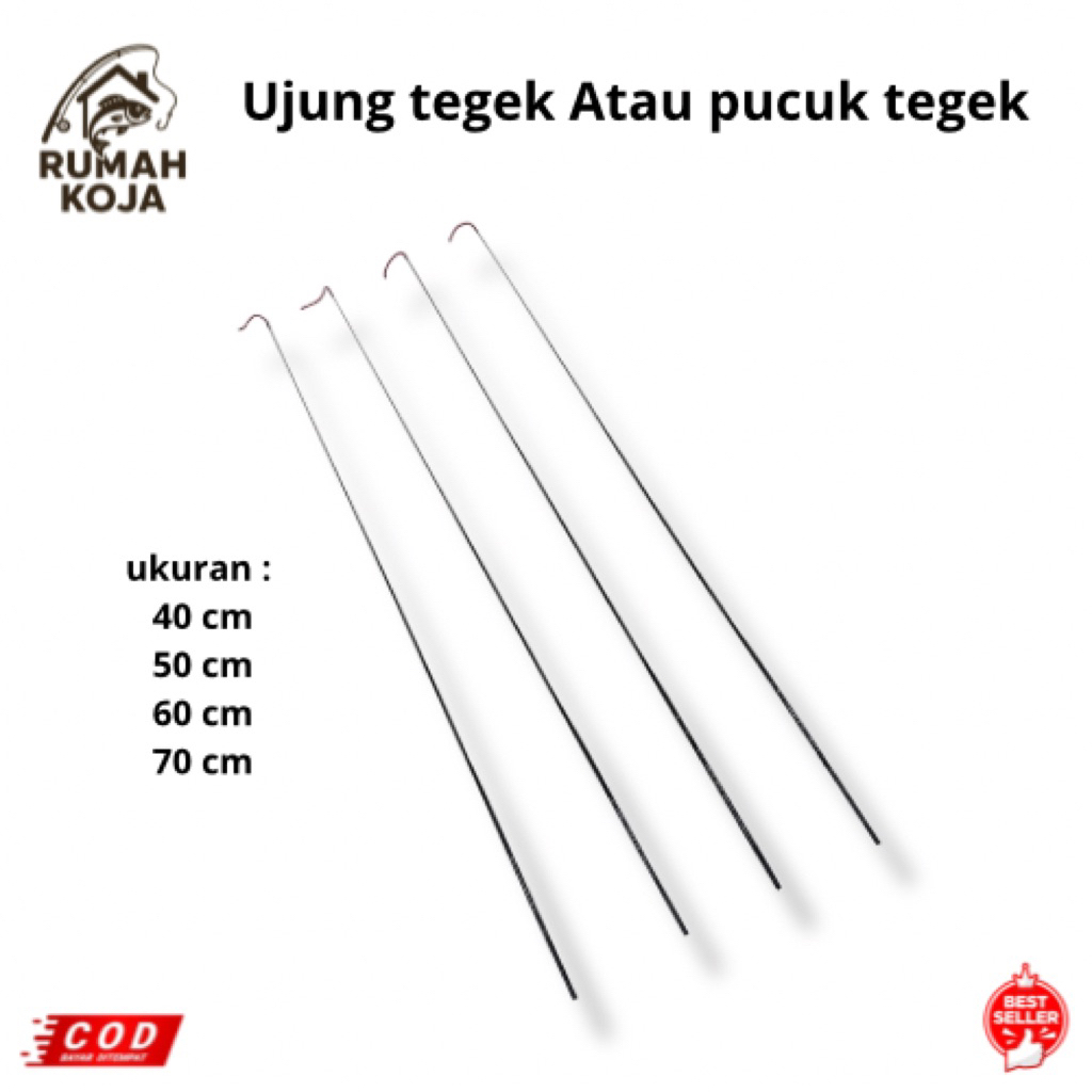 RUMAH KOJA - Ujung joran tegek atau pucuk tegek