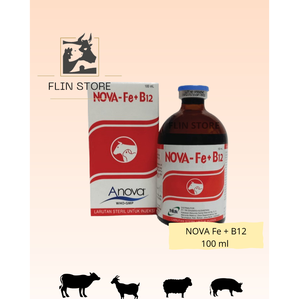 Nova-Fe+B12 Obat Anemia Anak Babi Sapi Domba