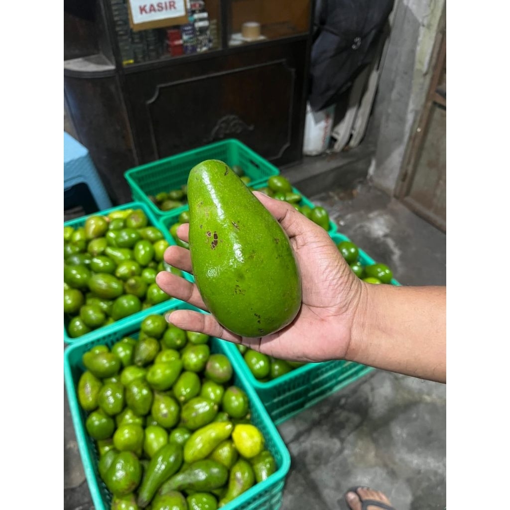 Alpukat Mentega Super Segar