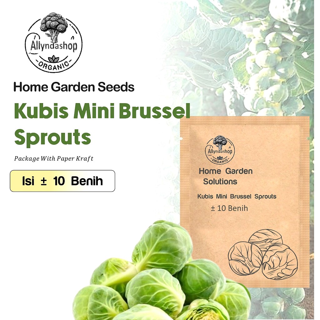 Bibit Benih Biji Sayur Kubis Mini Brussel Sprouts Darkmar