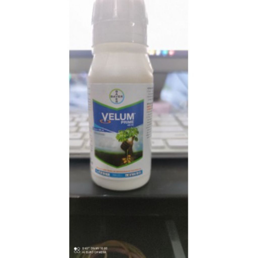 velum prime 100 ml