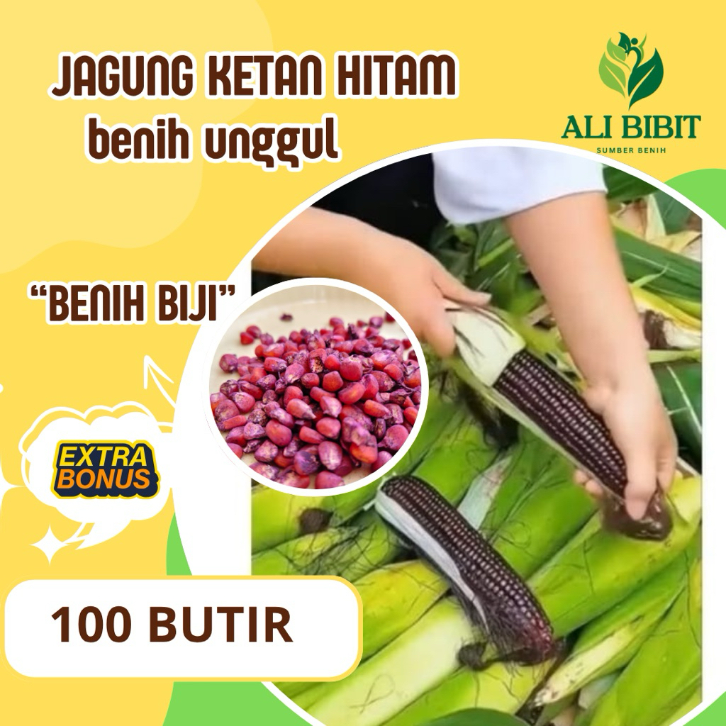 100 Butir > Biji Bibit Jagung Hitam> Benih Jagung  Ketan Hitam> Bonus Benih