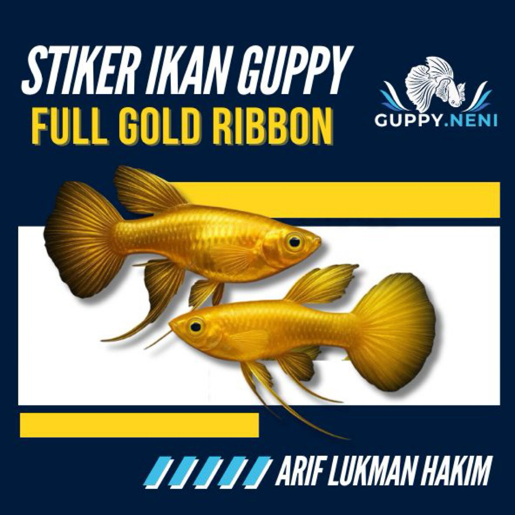 STIKER IKAN GUPPY FULL GOLD RIBBON