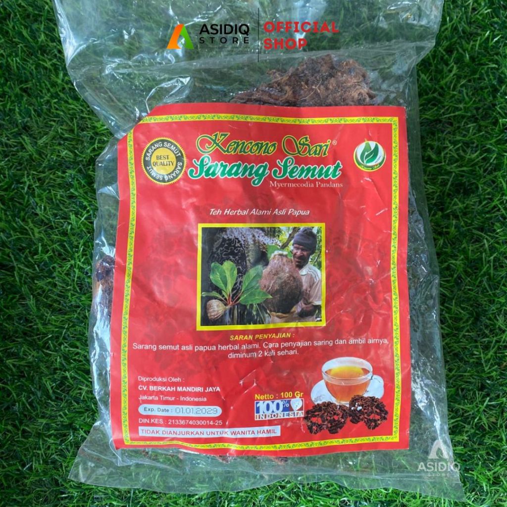SARANG SEMUT 100% teh celup sarang semut asli papua Kencono Sari 100gr