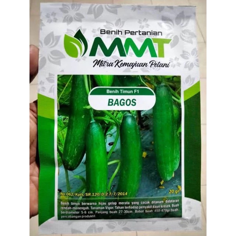 Benih Timun F1 BAGOS MMT SEED 20 Gram - Bibit Timun BAGOS BAGUS Ketimun Mentimun