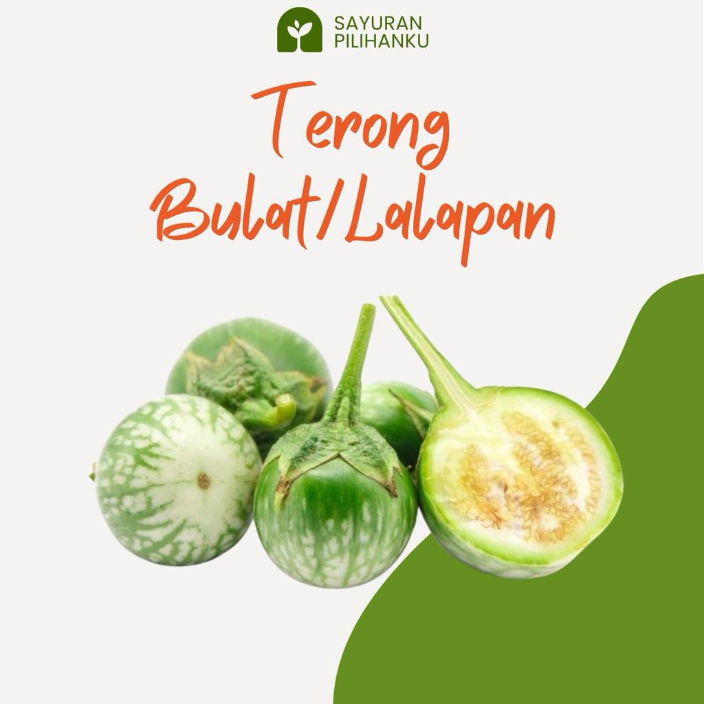 [SAYUR PILIHANKU] Terong Bulat/Terong Lalapan 1kg dan 500gram