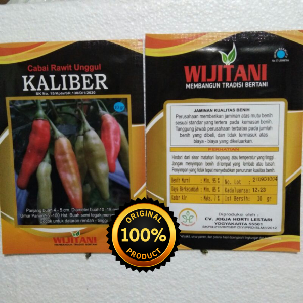 ( 10 BATANG ) Bibit Cabe Rawit Kaliber Original Segar Siap Tanam / Bibit Cabai Rawit Berkualitas / B
