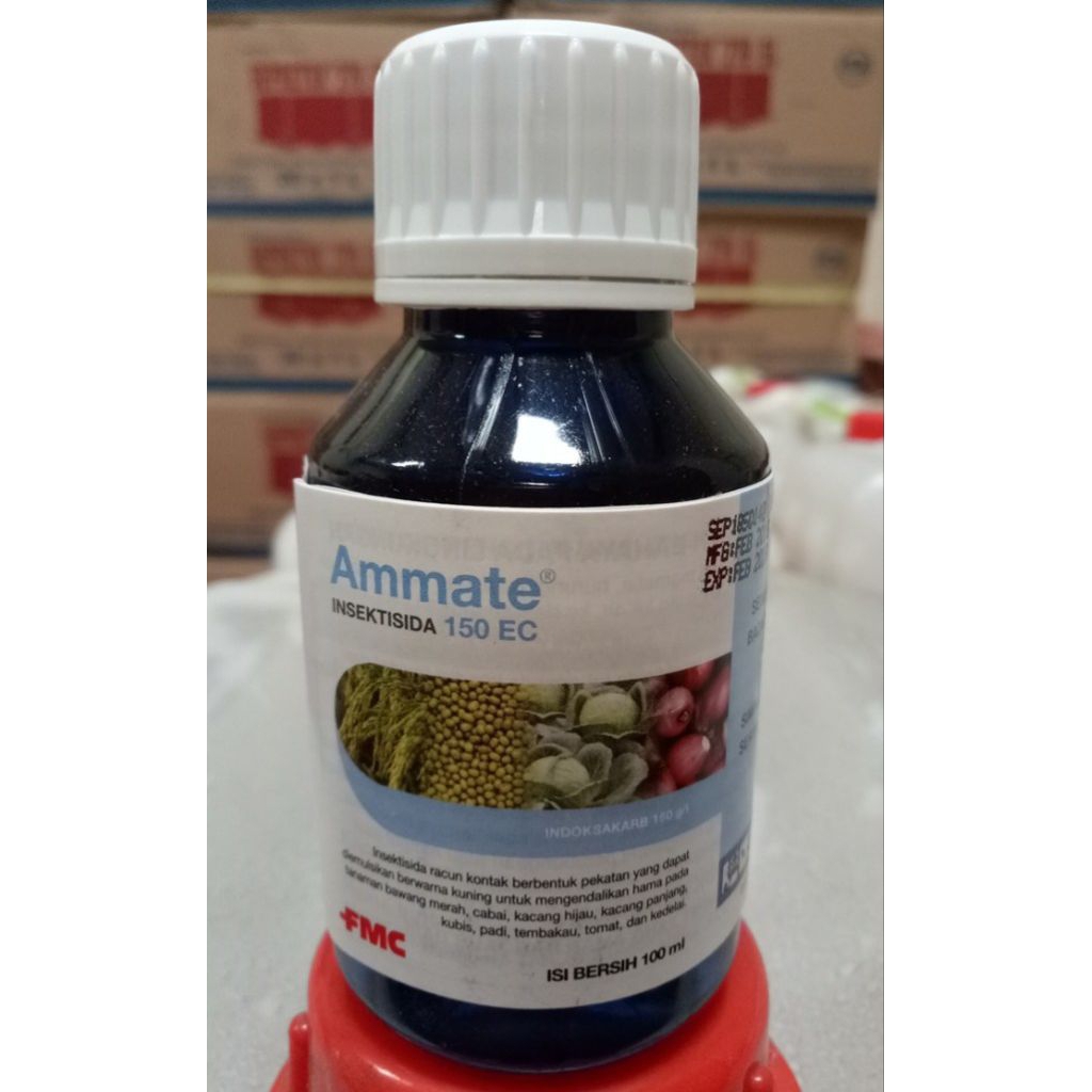 insektisida Ammate 100 ml