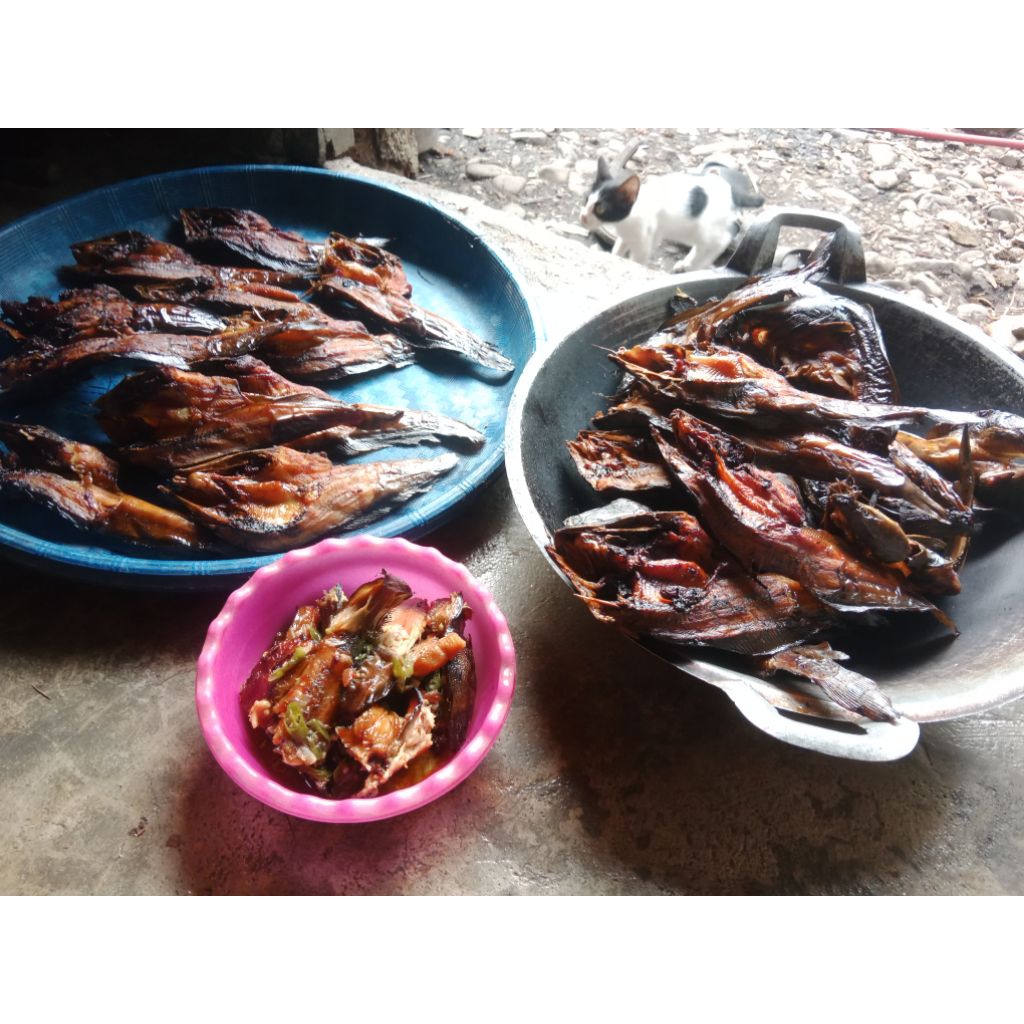 ikan sale lele, ikan asap lele