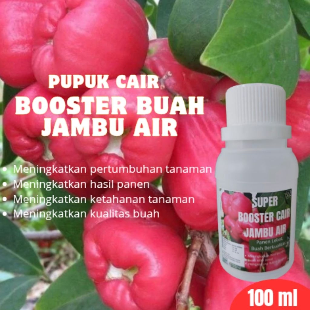 Pupuk buah Jambu Air cair/pupuk booster jambu air Cair isi 100ml