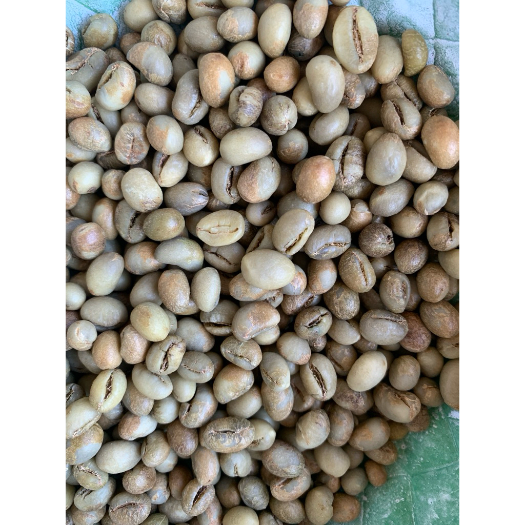 Kopi Lanang Robusta Grade A Dampit