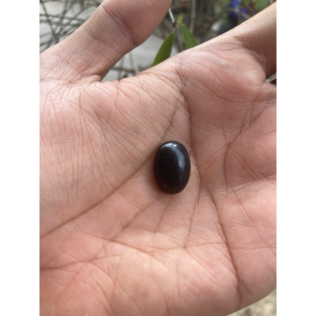 getah katilayu cirebon