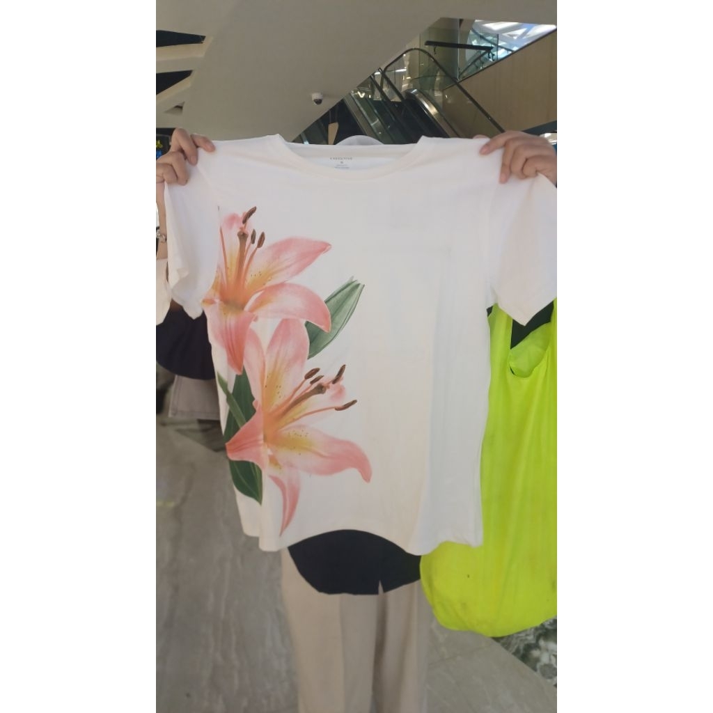 [SALE EXECUTIVE] Kaos Executive