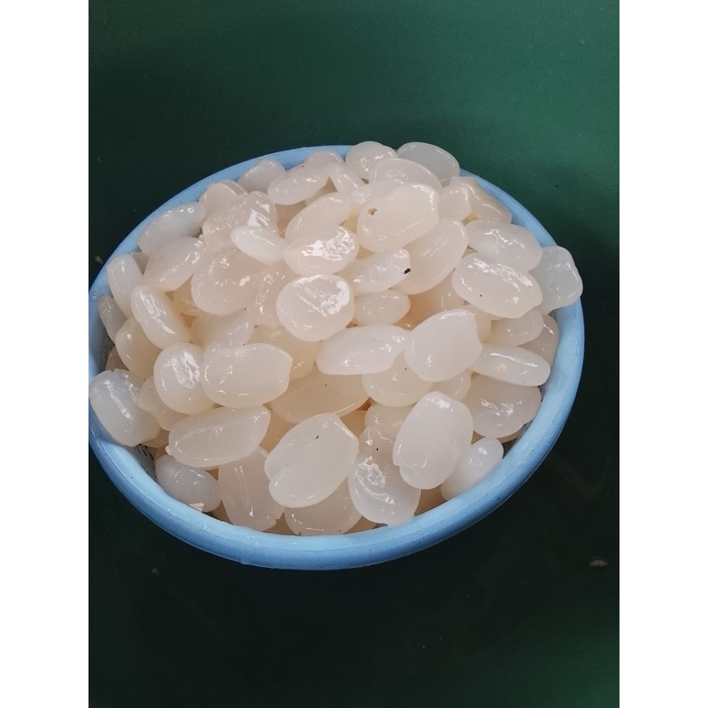 kolang Kaling bersih tanpa pengawet 1kg original