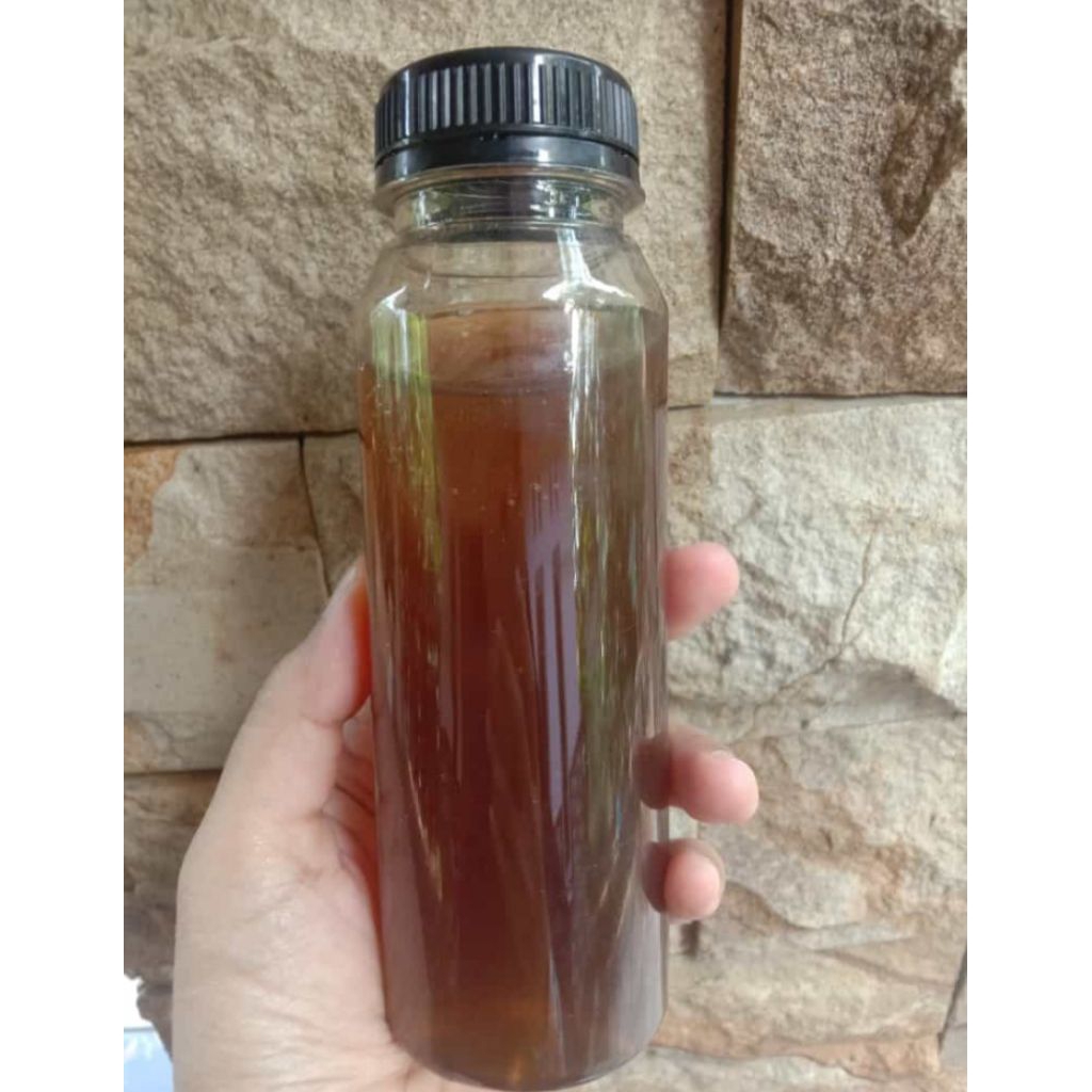 Madu Murni Nekstar Karet