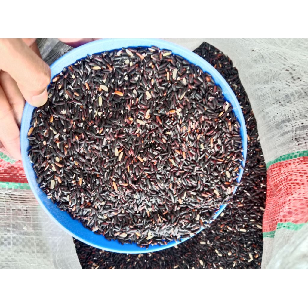 ketan hitam 1kg