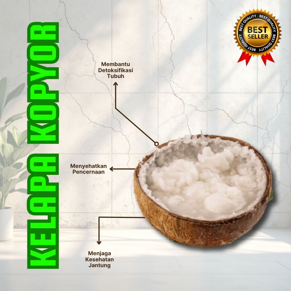 ASLI 100%  Kelapa Kopyor Frozen