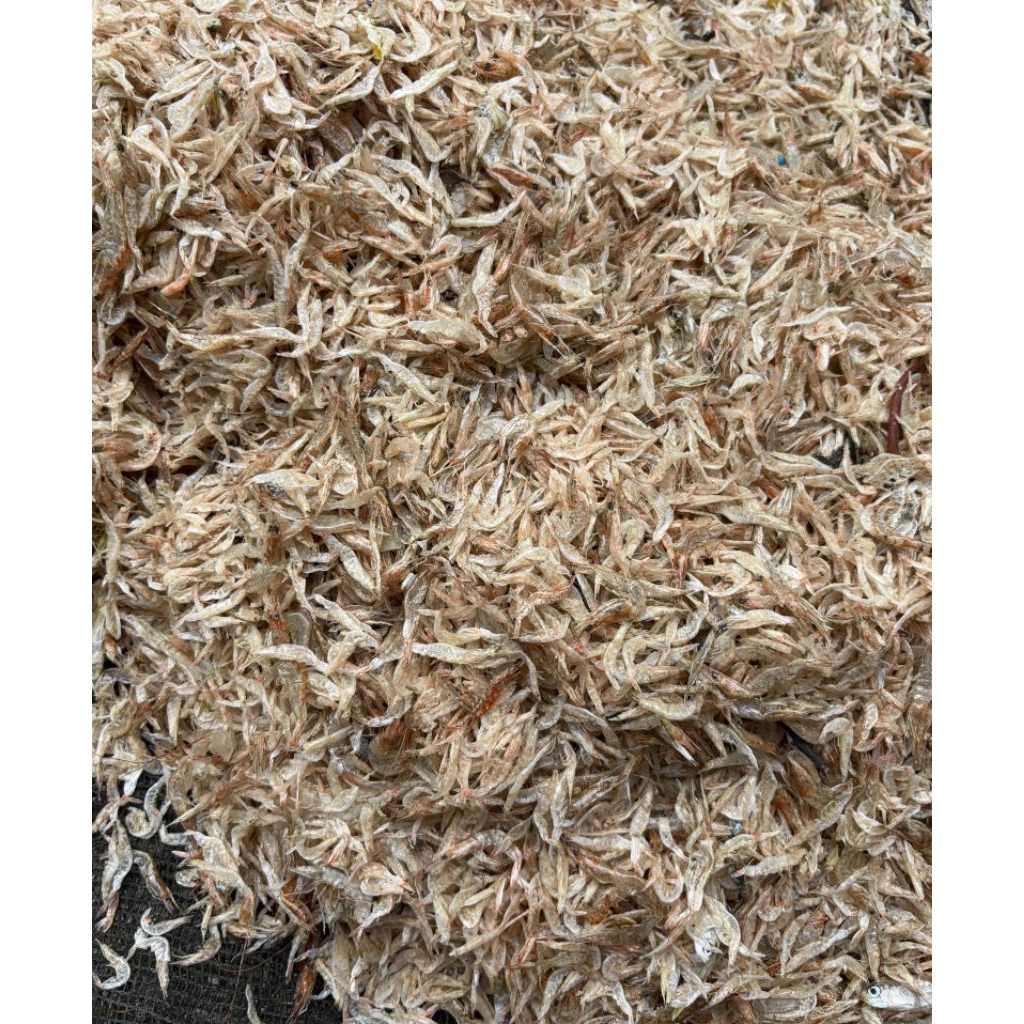 udang rebon 1/2kg