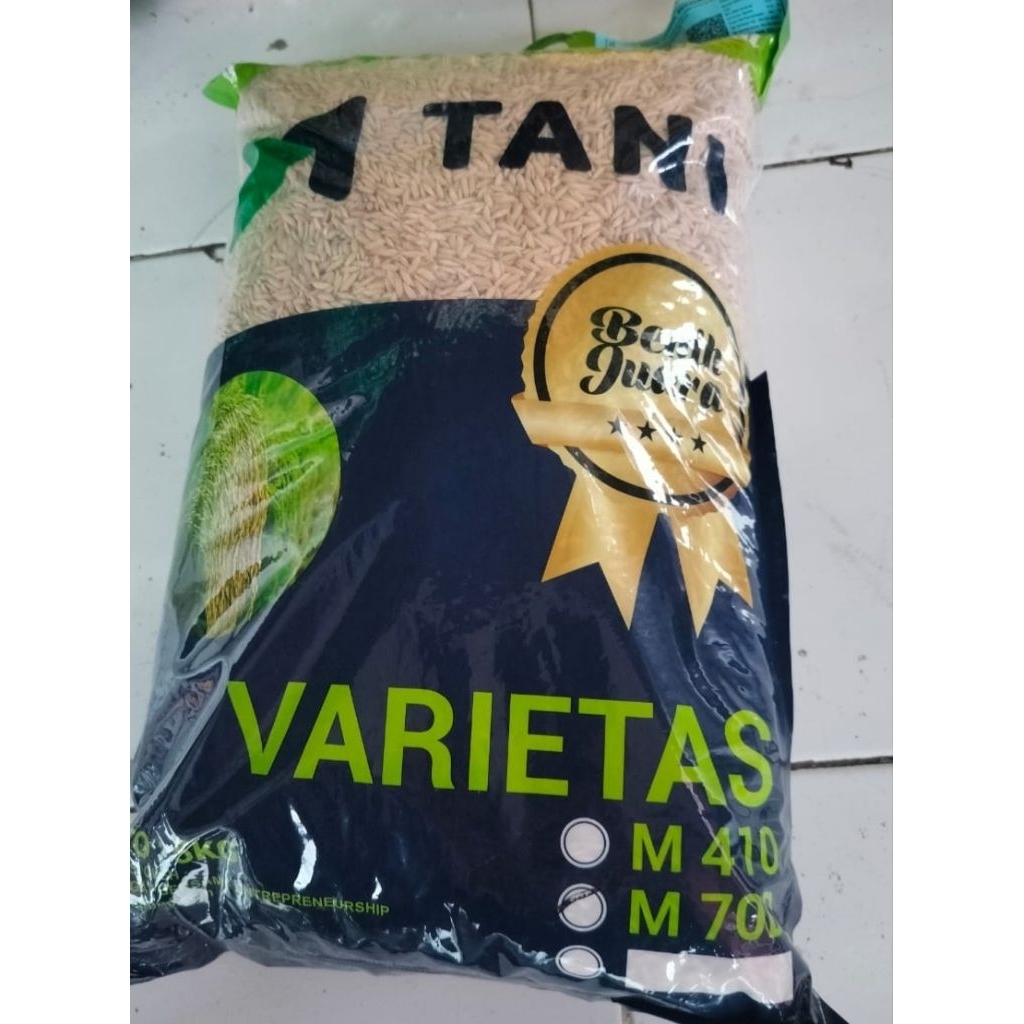 M70D Benih padi#Padi genjah#