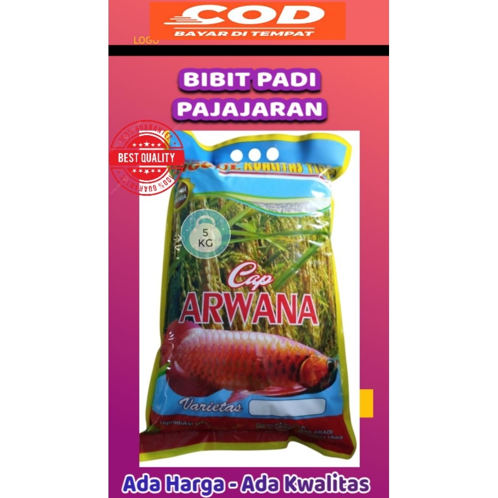 BIBIT PADI UNGGUL VARIETAS PAJAJARAN 100%ORIGINAL KWALITAS TERBAIK/KEMASAN 5KG