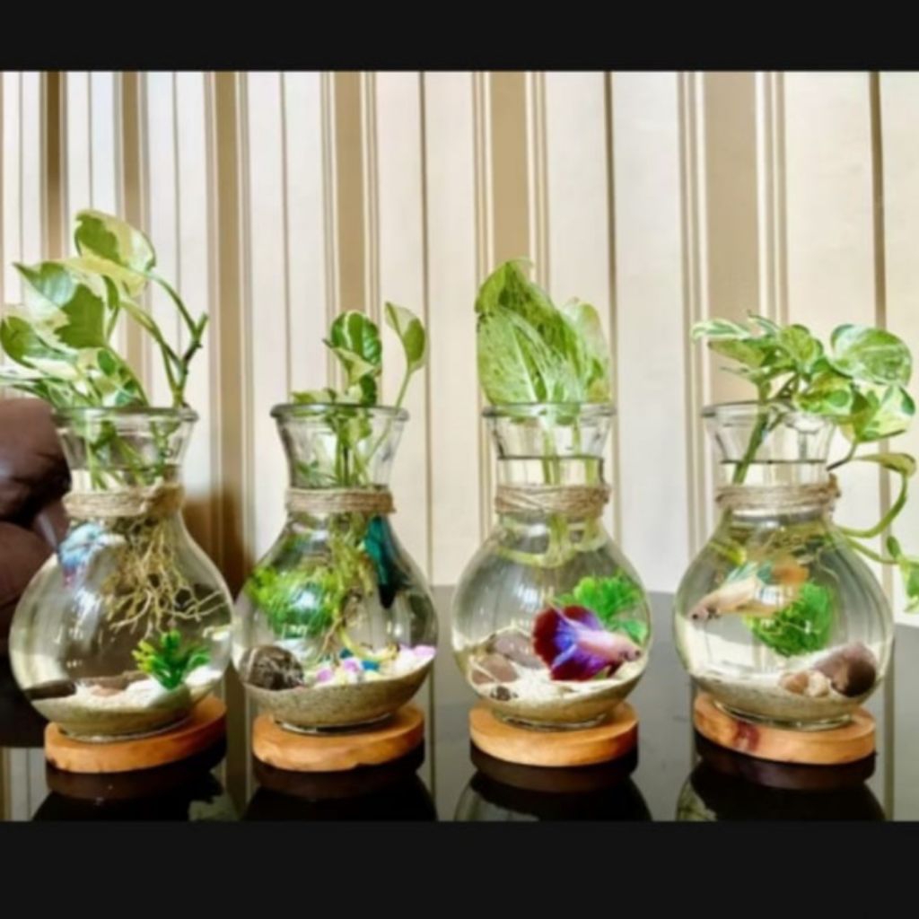 Hiasan Meja Aquarium Mini Aquarium Full Set