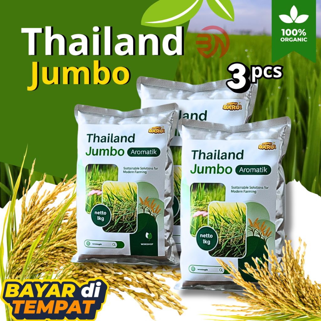 Benih padi Thailand jumbo original 3kg