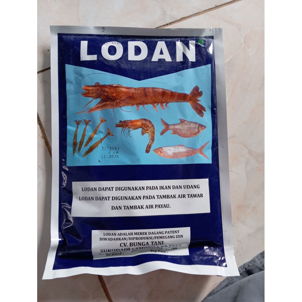 Lodan obat ikan