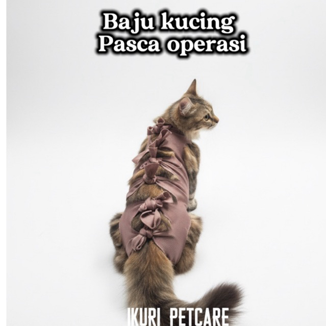 Baju kucing pasca operasi / baju gurita kucing pasca sterilisasi