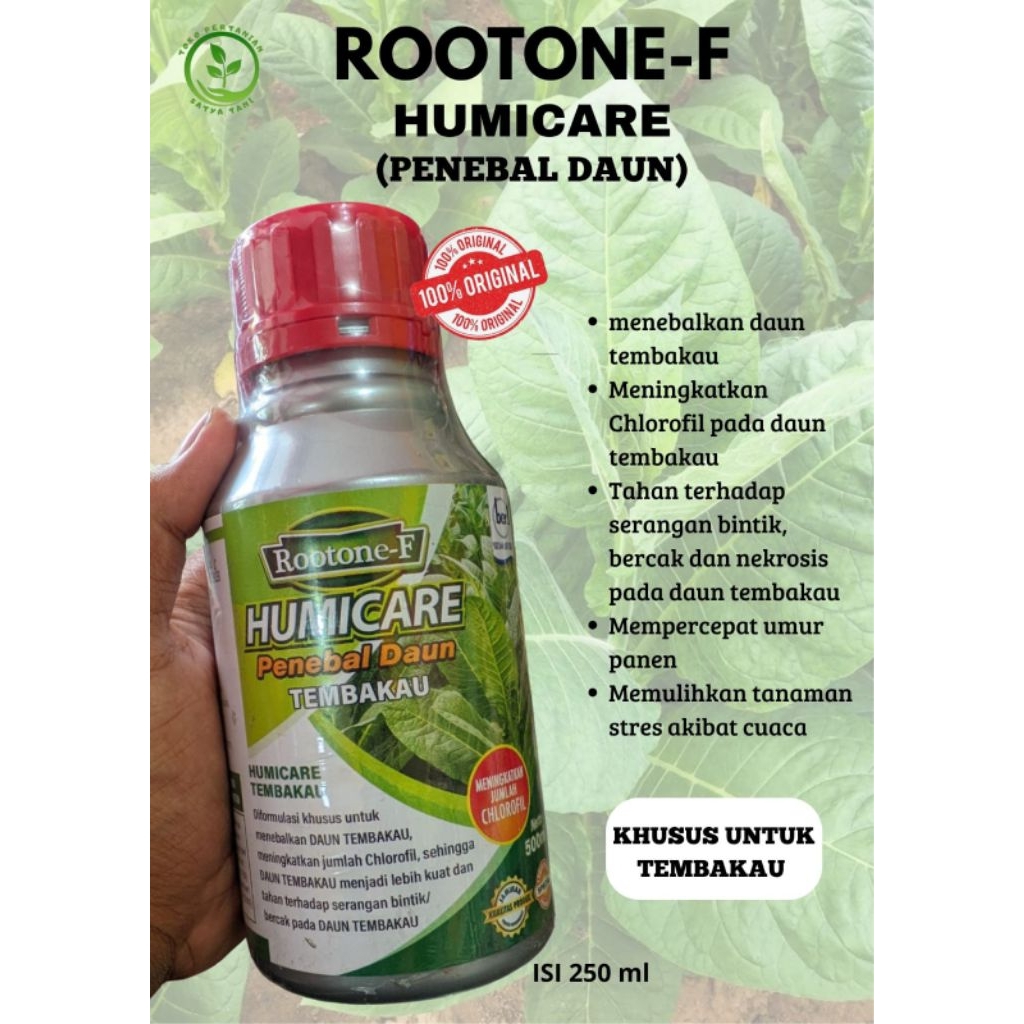 ROOTONE - F HUMICARE PENEBAL DAUN TEMBAKAU 100% Original (free kaos)