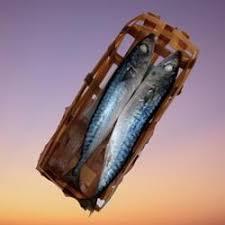 Ikan Pindang Besek Segar isi 2 Fresh - Ikan Cue Sayuran Super Premium Jogja