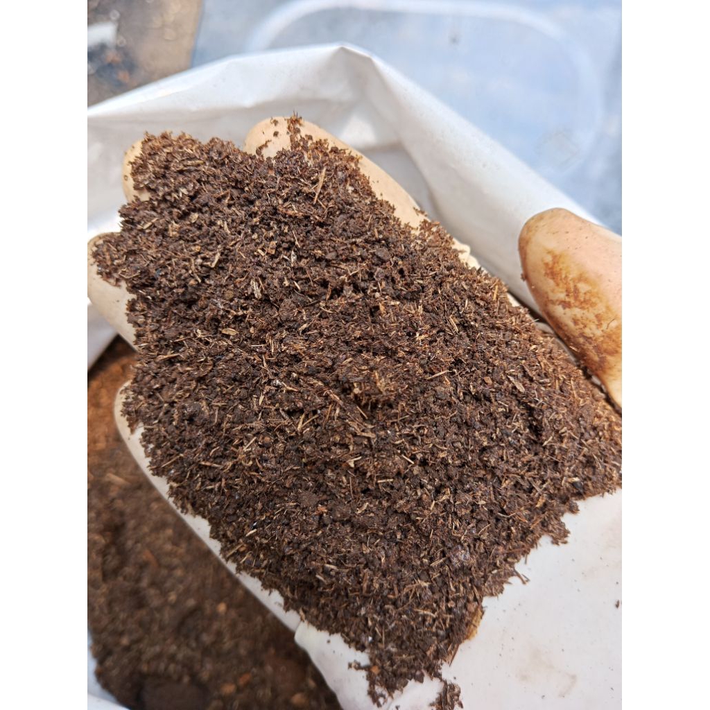 pupuk organik media tanam kascing